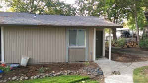 Today, when I get home, things are very different indeed.