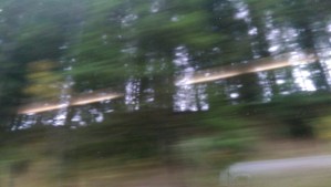 When I rush through my life I can't really see what's going on around me.