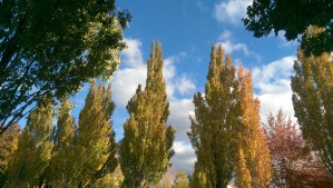 I could just enjoy this lovely moment.