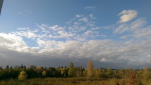 An autumn evening, a horizon, a quiet moment.
