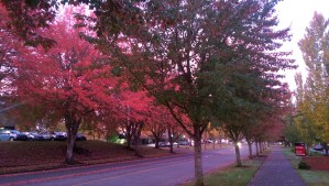 A beautiful morning for a journey.