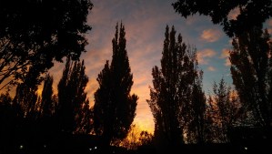 I enjoy a good change of perspective.