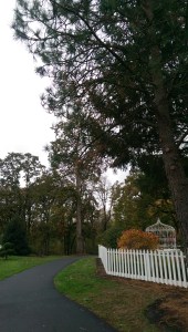 I pause at the top of the hill, excited to cross the new bridge. Is it silly to be excited about something so mundane?