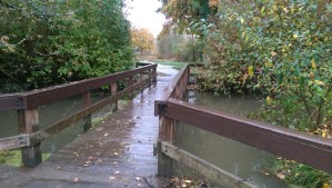 Walking a favorite path.