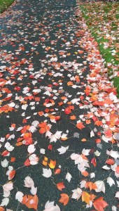 Walking my own path.