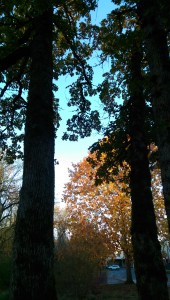 Beauty, perspective, and a   few moments to think.