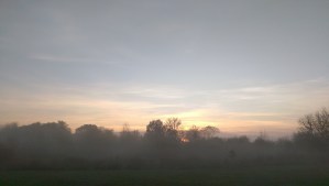 I allowed myself to enjoy the beauty of the dawn uninterrupted by anxiety or dread.