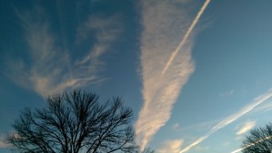 A bold blue evening sky lead me home.