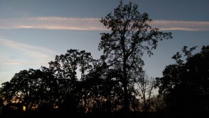 I took the scenic route; this is my life, why would I cheat myself of beauty or of love?