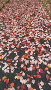 There's a lot of ground to cover on this journey.