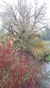 Autumn becomes winter; there's only so much time, and all of it is 'now'.