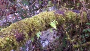 Perspective matters. 