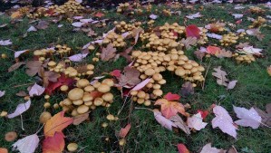 Interconnected, we are all in this together, and each having our own experience.