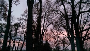 Every sunrise is a chance to begin again.