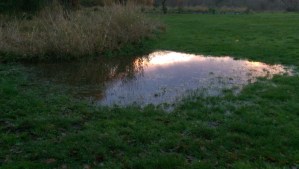 I begin the holiday season reflecting on gratitude, and good fortune.