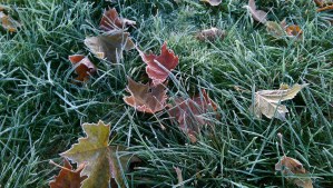 Facing the approach of winter, I feel fortunate in my cozy home.