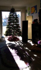 There is value in learning to allow joy to cast a bigger shadow than my sorrows do.