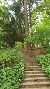 Sometimes it feels like an uphill climb.