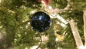 Small details, moments of wonder, and taking care to treat myself well all add up to a great experience.