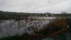 Storm-tossed, damaged, emotionally flooded - there is still a chance to begin again.