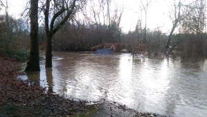 It is easy to be swept away by powerful emotions.