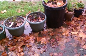 The sound of rain, the feeling of home.