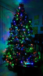 Merriment, love, and fun -  what's on your list?