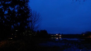 I choose even my perspective; I am my own cartographer on this journey.