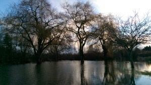 At the end of a stormy day, feeling a bit flooded.