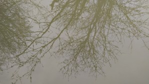 Sometimes it is a matter of details, perspective, and a willingness to be aware, without judgment or interpretation.