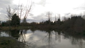 Some of it is about what is in the distance, on the horizon, possible or probable; there will be verbs involved.