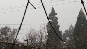 The only picture all day isn't of anything much; the photos are not the experiences.