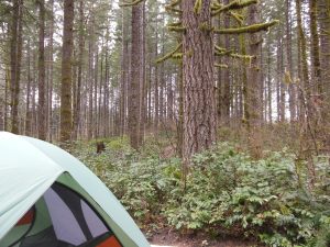 I wasn't as prepared as I felt. 