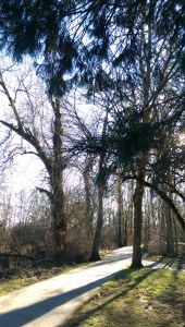 The view of 2015 is very different from this perspective. The path ahead seems a bit more clear, now.