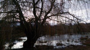 There is power in perspective, and in choice. 