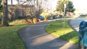 Distractions and obstacles take a lot of forms... I'm fortunate when the path is obvious. :-)