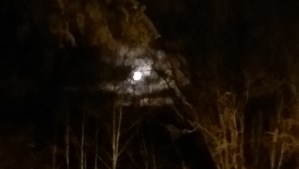 I'd rather be sleeping...