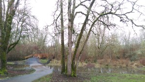 I am walking my path from another perspective, and there is more to learn.