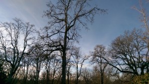 One day, one moment, of many.