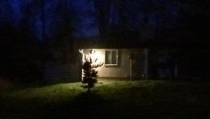 One moment of many. I am here. I am okay. This is enough. 