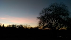 Begin again... And then again. Each dawn is a new beginning.