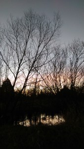 Darkness must exist for illumination to reveal what is hidden.