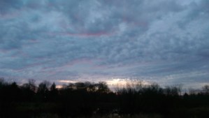 Each day shows me a new horizon. Each morning I see it with new eyes.