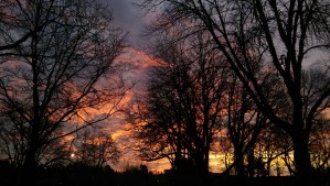 How beautiful that each new day I can choose to begin again!