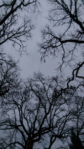 Perspective isn't always easy; verbs require effort.