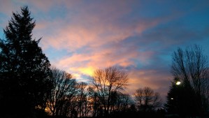 Taken in context, fully considering what you know of the world, yourself, are your individual choices building the world you want most to live in?