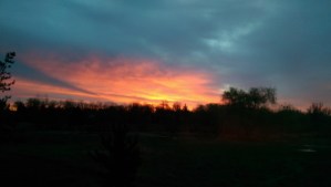 ...And birdsong included.