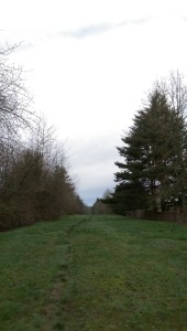 I had not been here before, but it was not an uncommon experience to have.