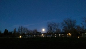 Beautiful night sky.