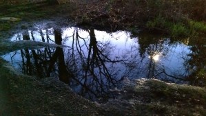 Reflecting on a turn of phrase or a metaphor provides new perspective.